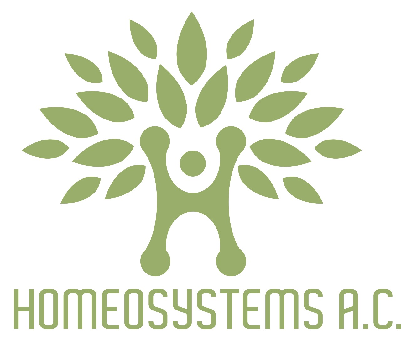 HOMEOSYSTEMS A.C.